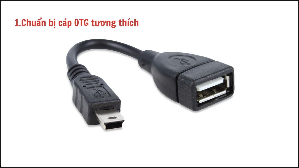 Sử dụng cáp OTG Type C hoặc Micro USB để thực hiện cách bật OTG trên Vivo.