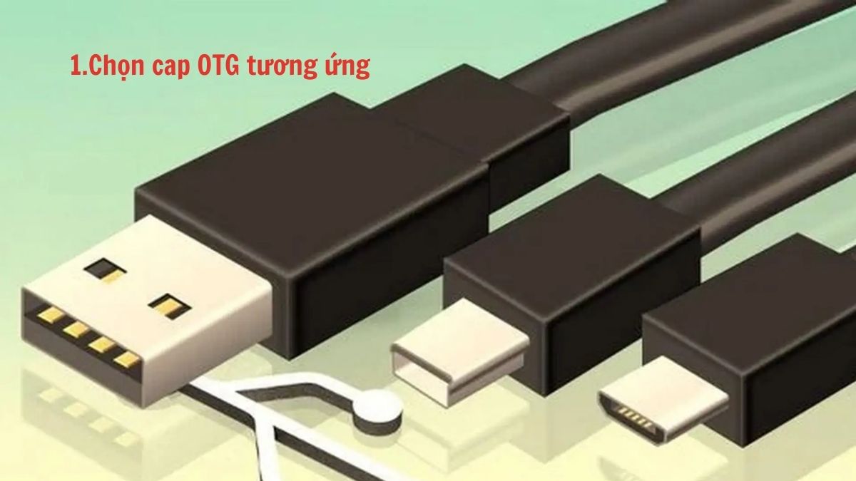Cách bật OTG trên Android cho máy Oppo bằng việc chuẩn bị cáp OTG phù hợp.