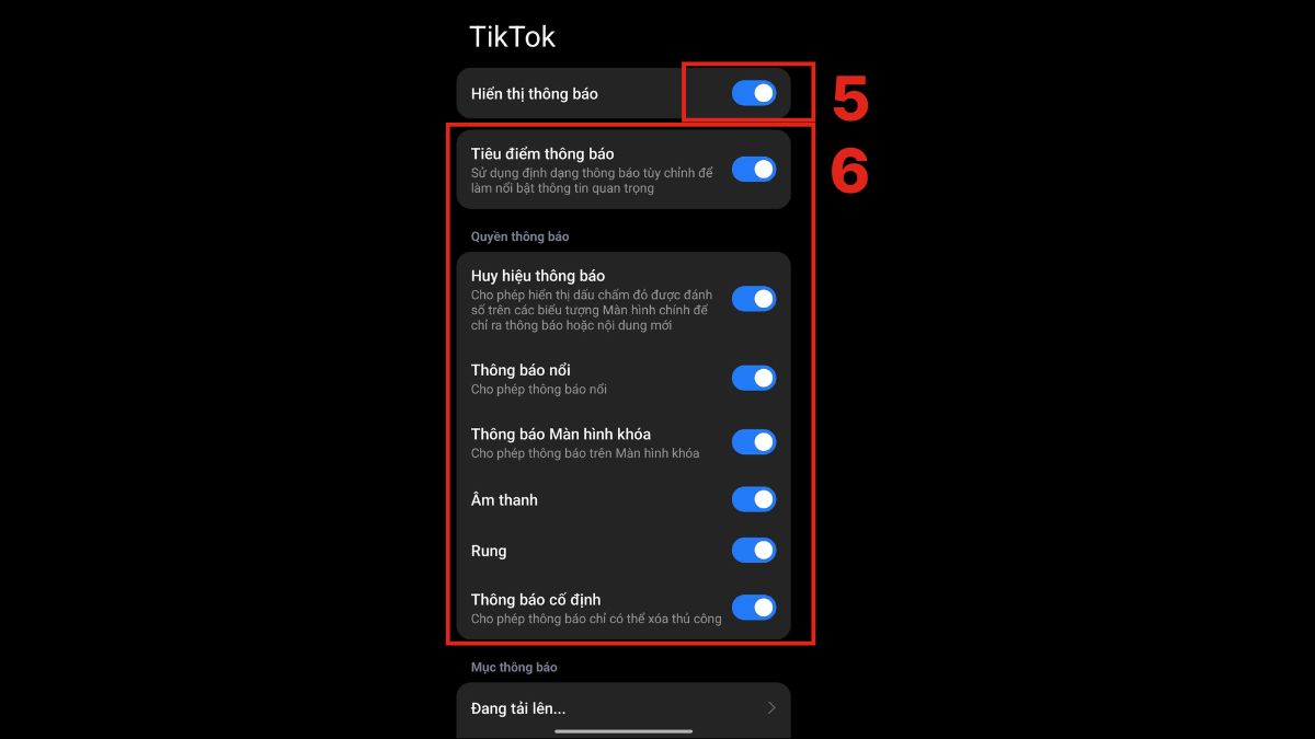 Giao diện hiệu chỉnh các kiểu bật thông báo tiktok chi tiết trên điện thoại.