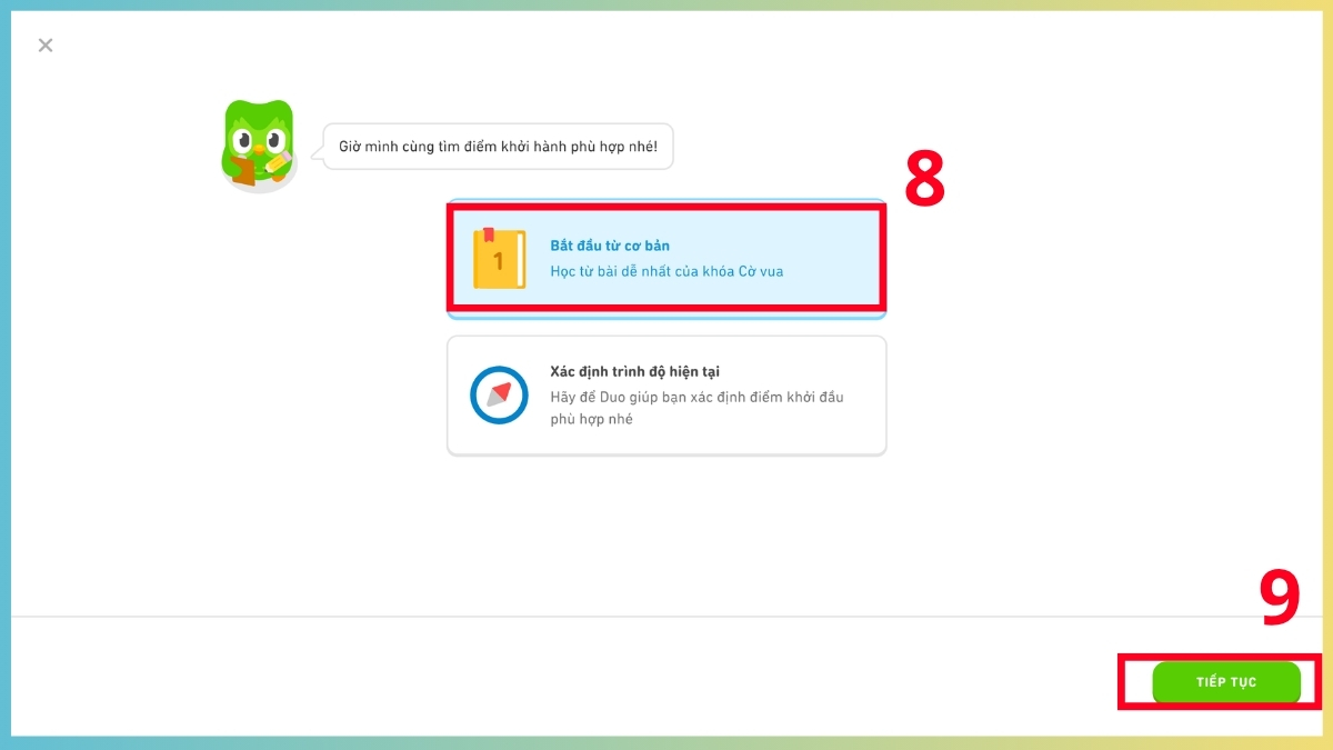 Lựa chọn bắt đầu từ cơ bản khi tìm hiểu cách để học cờ vua trên Duolingo.