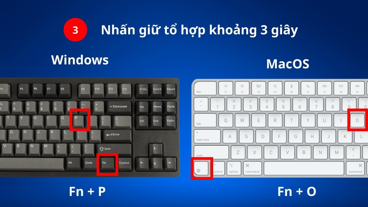 Nhấn tổ hợp phím Fn+P hoặc Fn+O là cách kết nối bàn phím Logitech cho Windows và MacOS.