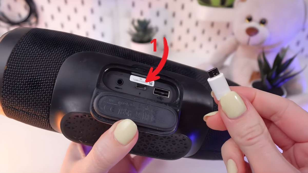 Xác định vị trí cổng sạc micro USB trong cách sạc pin loa bluetooth jbl.