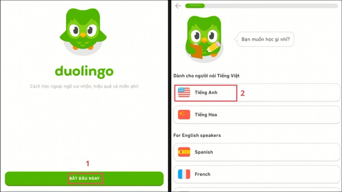Các bước khởi đầu trong quy trình cách tạo hồ sơ trên duolingo trên điện thoại.