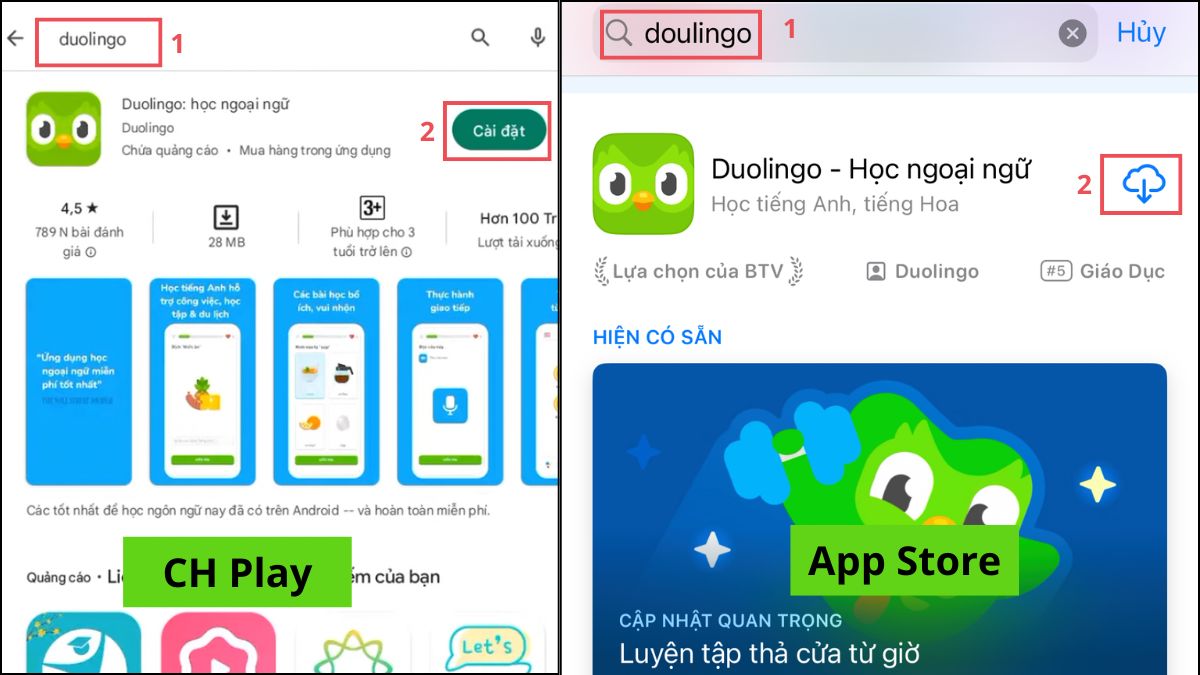 Các bước tải app để thực hiện cách tạo hồ sơ trên duolingo.