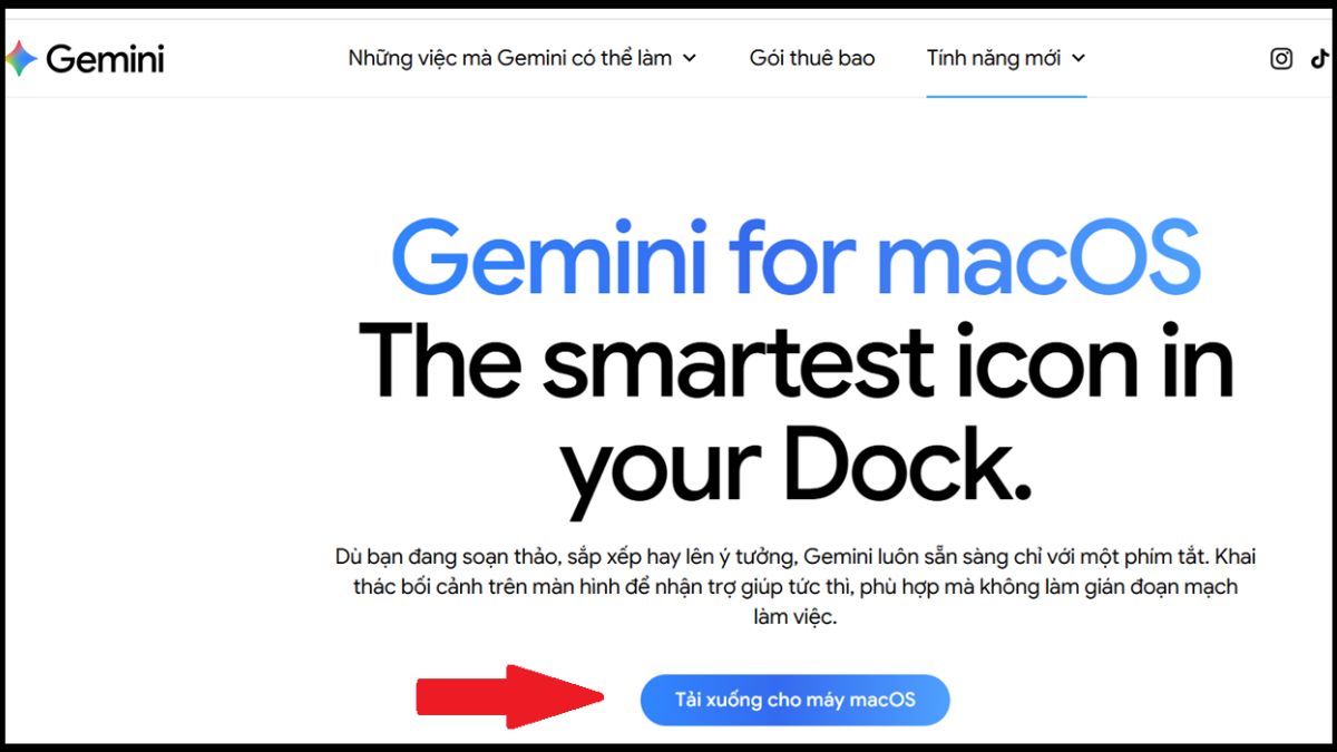 Giao diện Tải xuống cho máy macOS hỗ trợ cách tải gemini về máy tính.