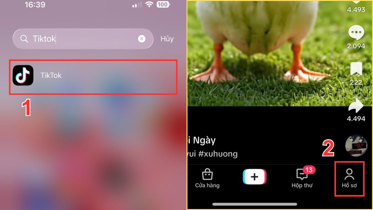 Vào giao diện hồ sơ để chuẩn bị gửi đơn cách xác minh tài khoản TikTok tích xanh.
