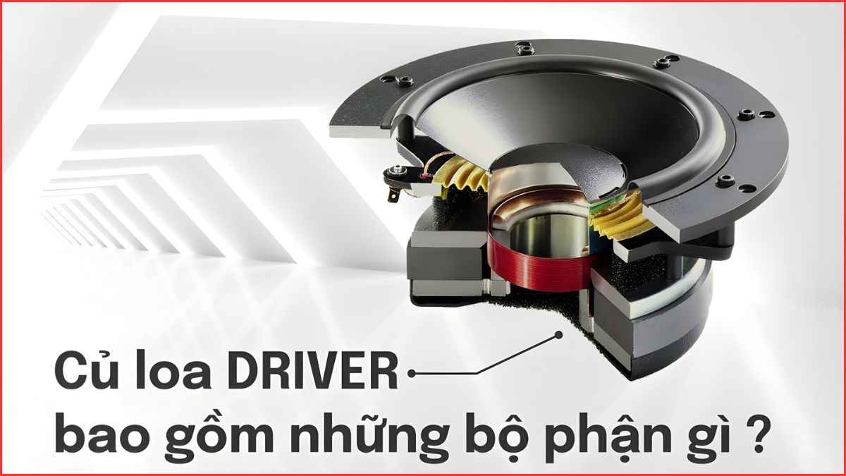 Cấu tạo của loa thùng chi tiết phần củ loa Driver và các bộ phận bên trong.