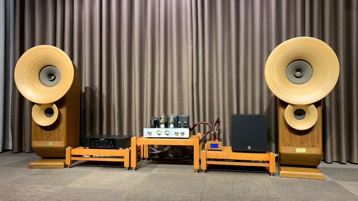 Lựa chọn sản phẩm chất lượng dựa trên cấu tạo của loa thùng và màng loa.