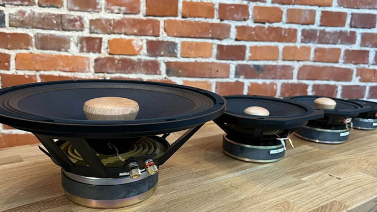 Tìm hiểu khái niệm củ loa là gì và vai trò quan trọng trong hệ thống âm thanh.