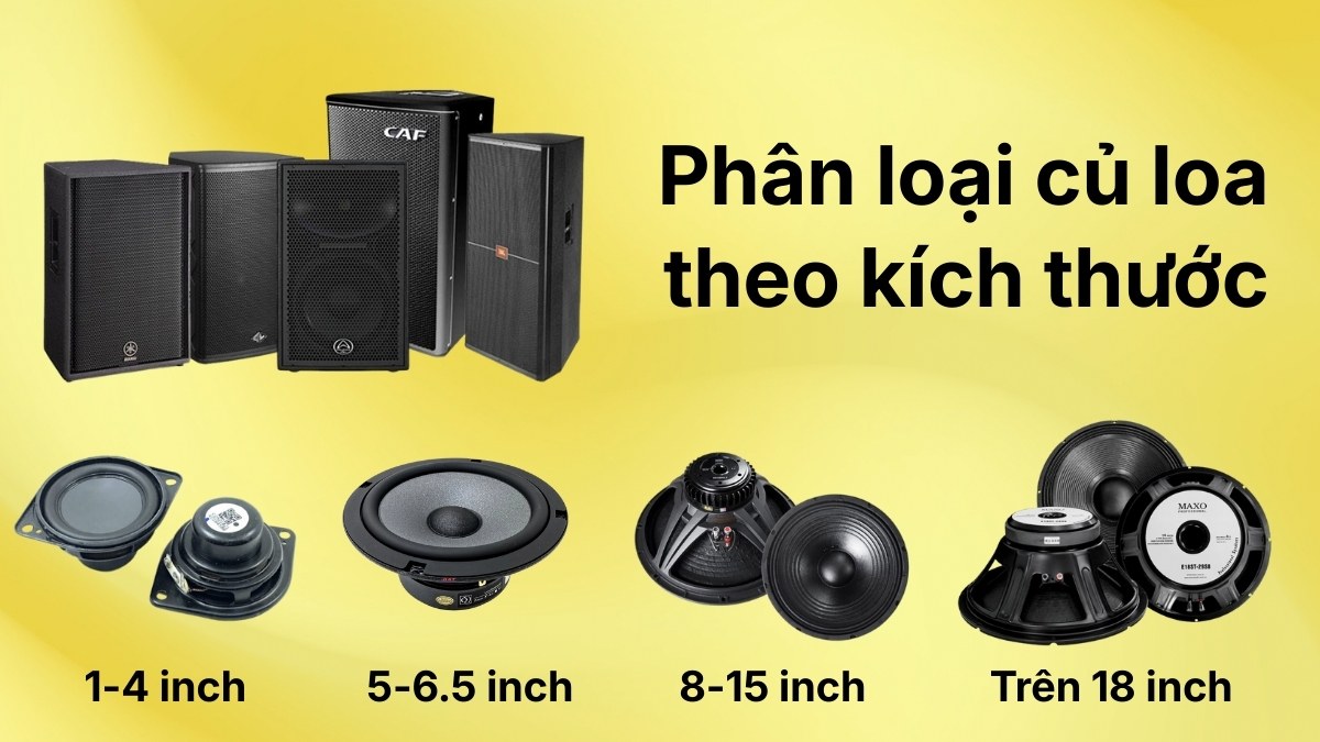 Tổng hợp các loại củ loa với nhiều kích thước khác nhau từ nhỏ đến siêu lớn.