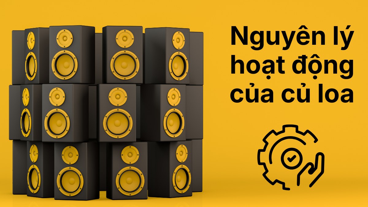 Nguyên lý hoạt động của củ loa dựa trên sự tương tác giữa cuộn dây và nam châm.