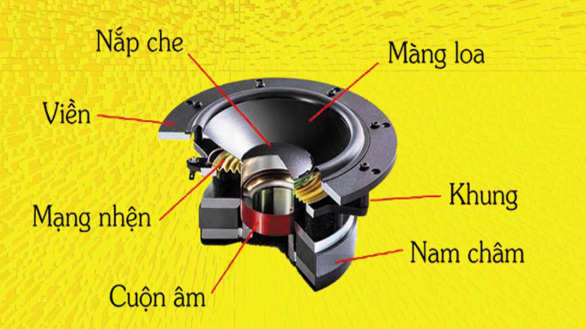 Sơ đồ cấu tạo chi tiết của củ loa bao gồm màng loa, mạng nhện và nam châm.