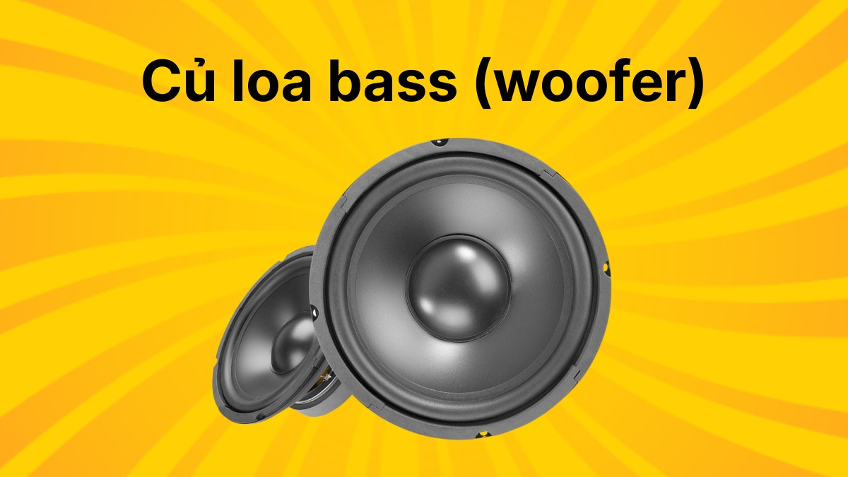 Củ loa bass (woofer) chuyên dụng để tái tạo dải âm trầm mạnh mẽ và sâu lắng.
