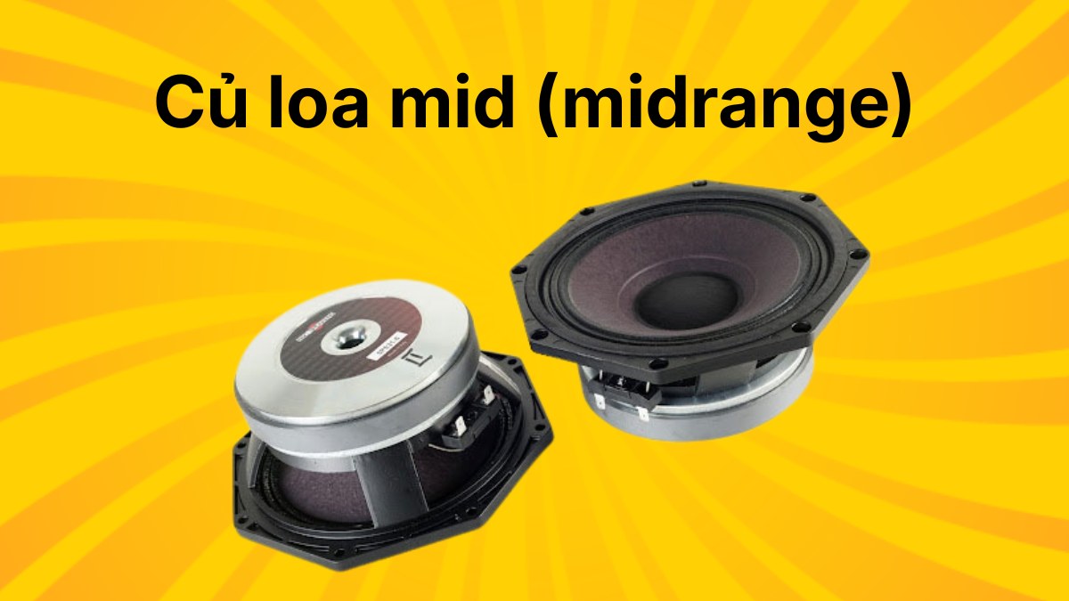 Củ loa mid tái hiện giọng hát và nhạc cụ một cách rõ ràng và chân thực nhất.