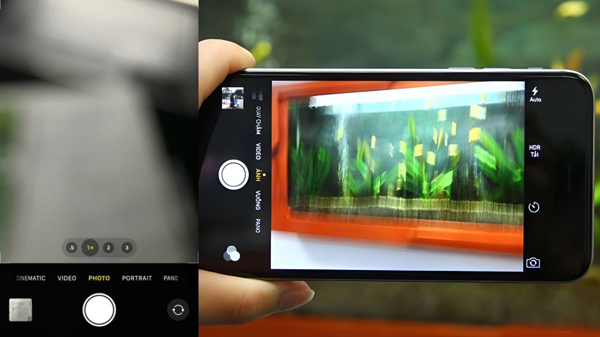Ảnh bị nhòe, không lấy nét được, dấu hiệu lỗi camera iPhone bị đốm mờ nghiêm trọng.