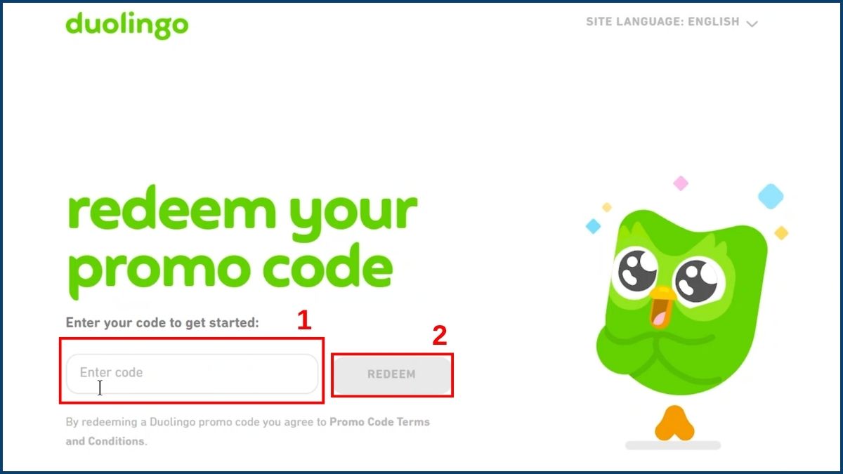 Hướng dẫn các bước nhập code duolingo trên giao diện website chính thức