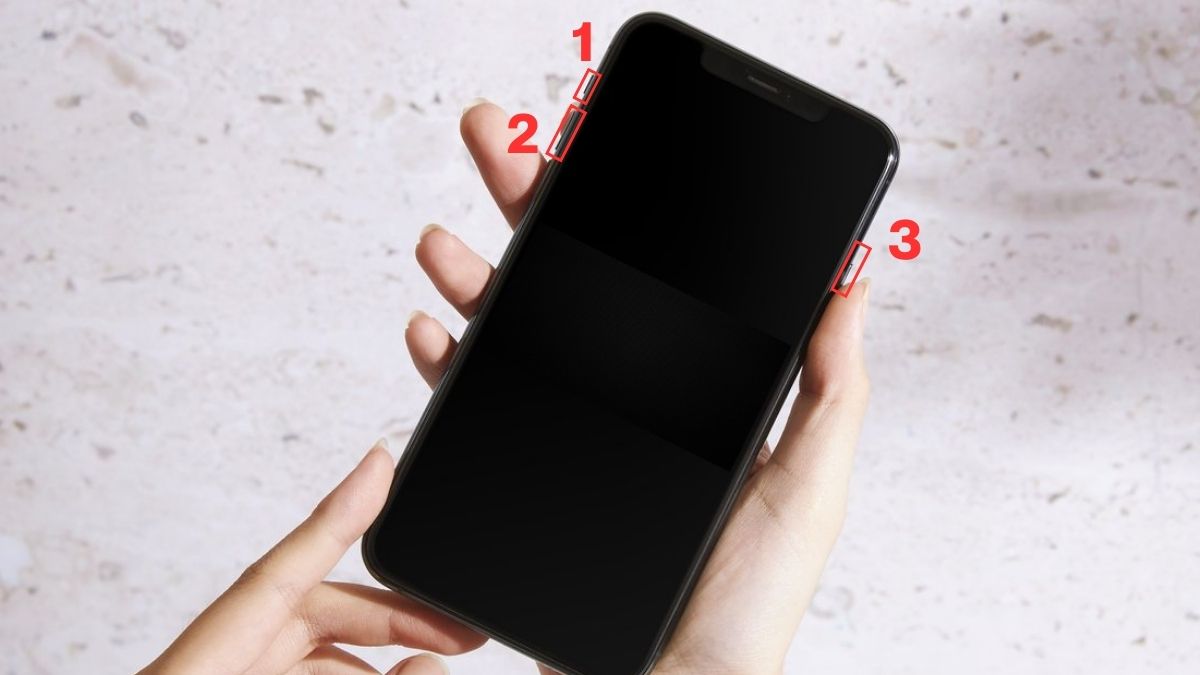 Hình ảnh iPhone 11 hiển thị logo Apple, kết quả của thao tác ép khởi động lại.