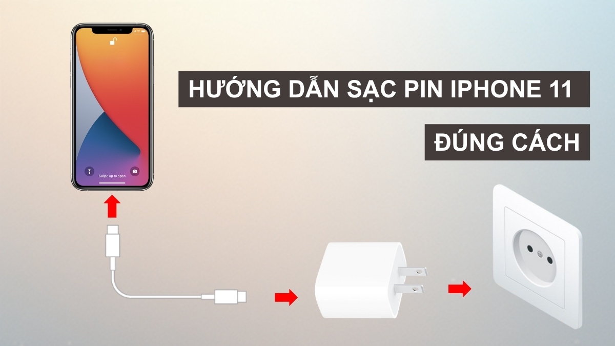 Minh họa cách sạc pin iPhone 11 đúng cách để tránh lỗi iphone sạc không lên pin