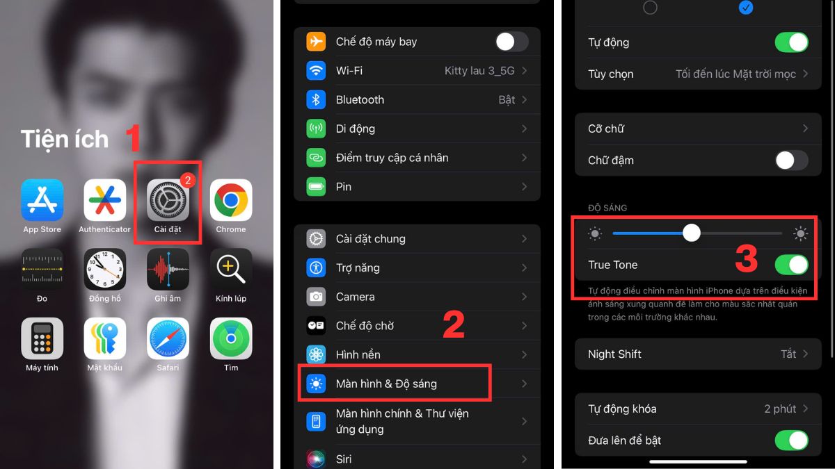 Tắt tính năng True Tone để kiểm tra lỗi màn hình bị xanh lá cây iphone.