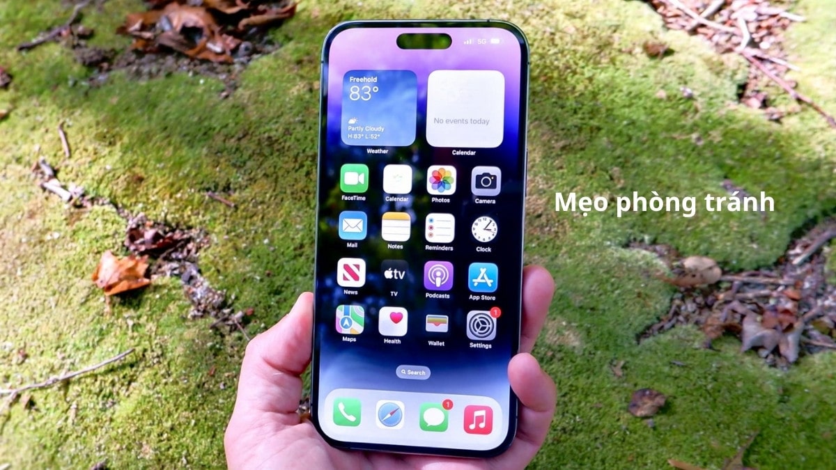 Hình ảnh màn hình chính iPhone 15 Pro Max, minh họa Mẹo phòng tránh lỗi iphone 15 pro max bị đơ màn hình tái diễn.