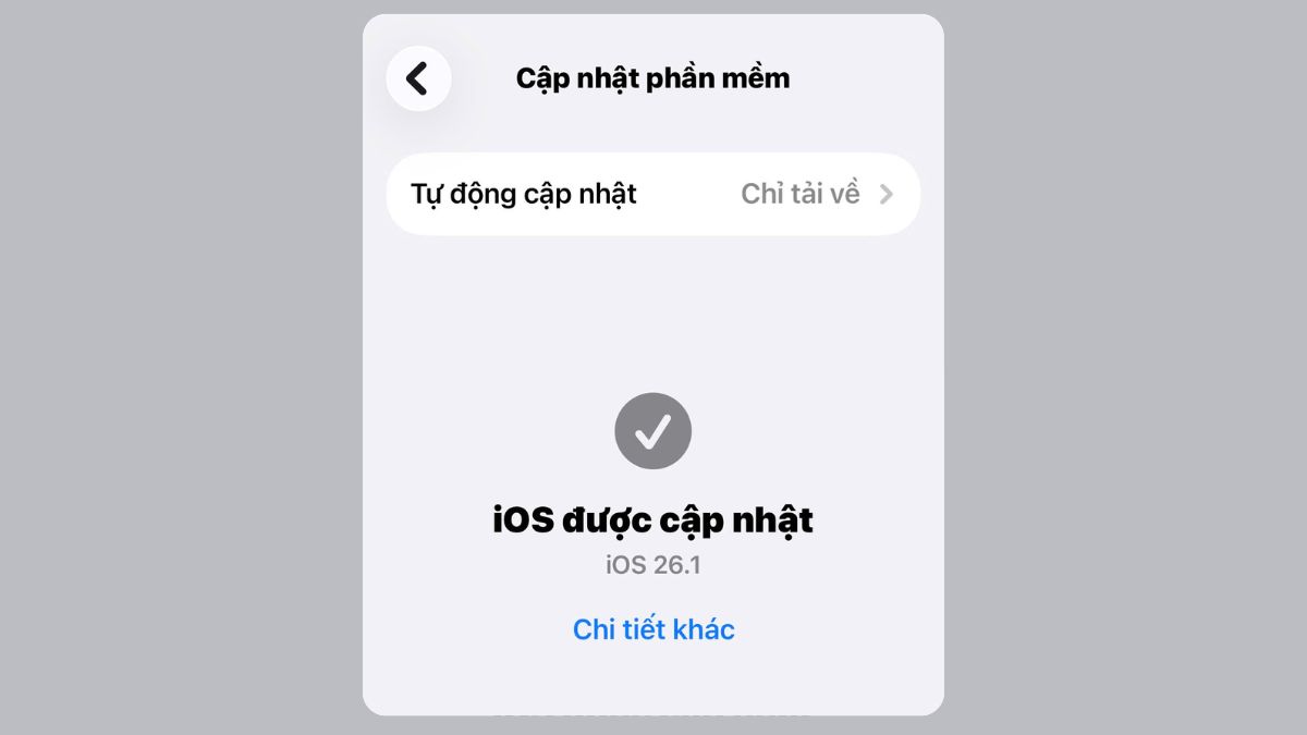 Cập nhật phiên bản iOS mới nhất để khắc phục lỗi iphone bị mất 4g do hệ thống.