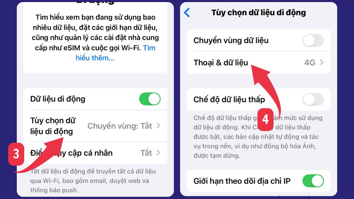 Kiểm tra Tùy chọn dữ liệu di động để bật 4g trên iphone trong cài đặt Di động.