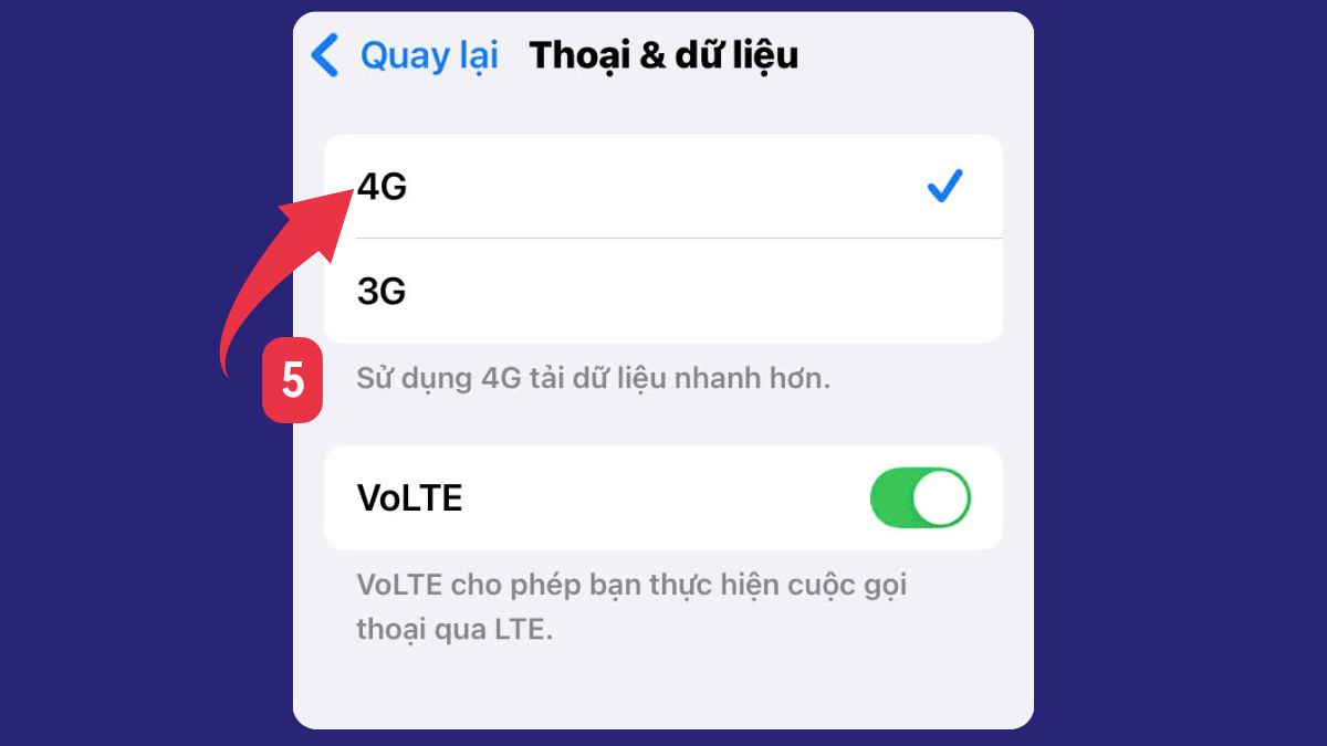 Đánh dấu chọn 4G trong cài đặt Thoại & Dữ liệu để bật 4g trên iphone.