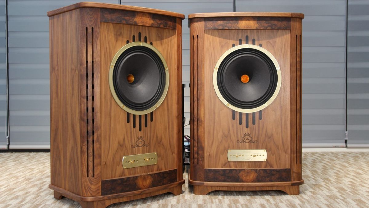 Cận cảnh thiết kế củ loa đặc trưng giải thích thế nào là loa đồng trục.