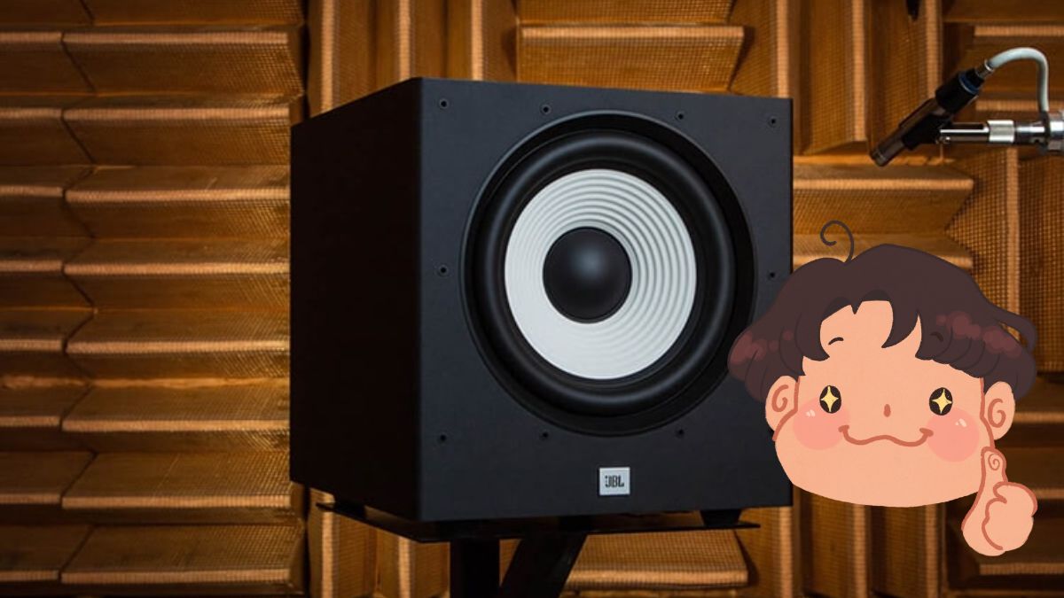 Các dòng loa điện động phổ biến với thiết kế đa dạng cho mọi nhu cầu.