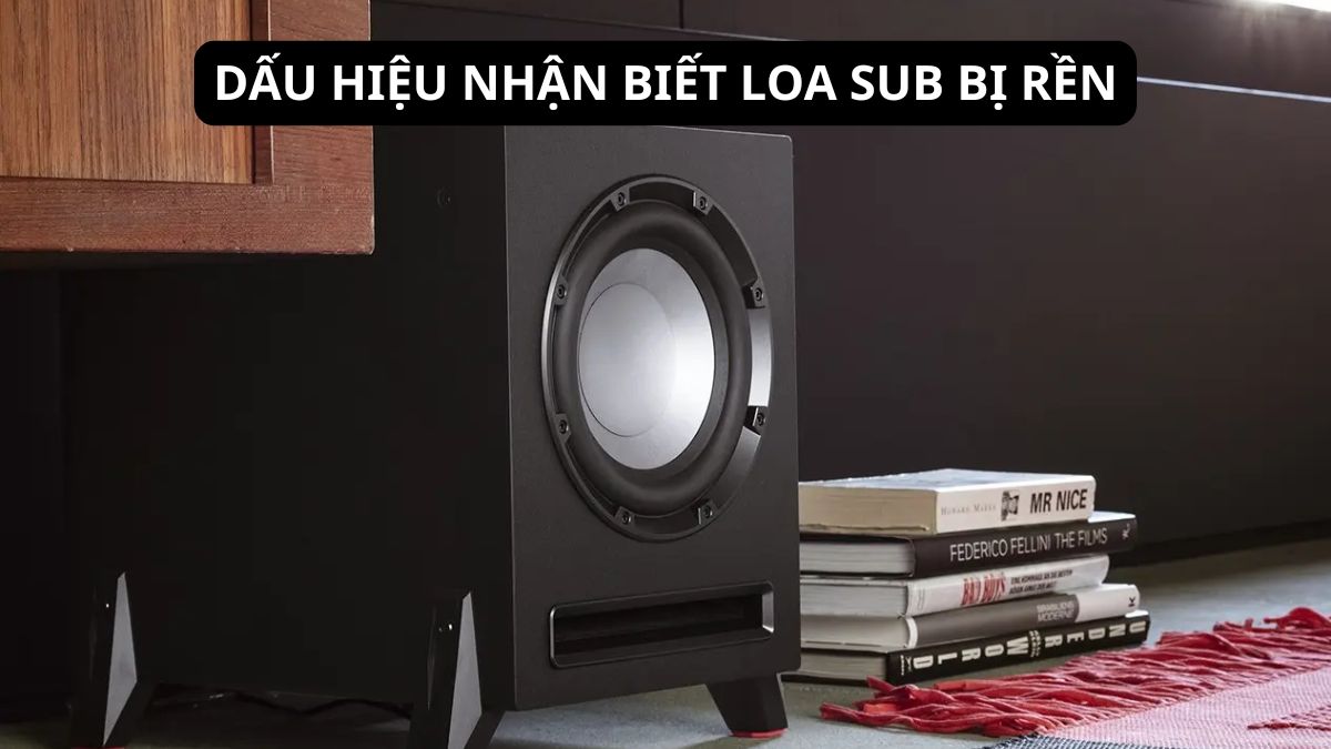 Dấu hiệu nhận biết dải bass kéo dài khi gặp tình trạng loa sub bị ù.