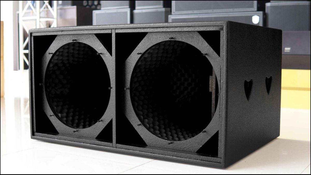 Thùng loa subwoofer là gì với thiết kế hai hốc loa bass lớn chuyên nghiệp.