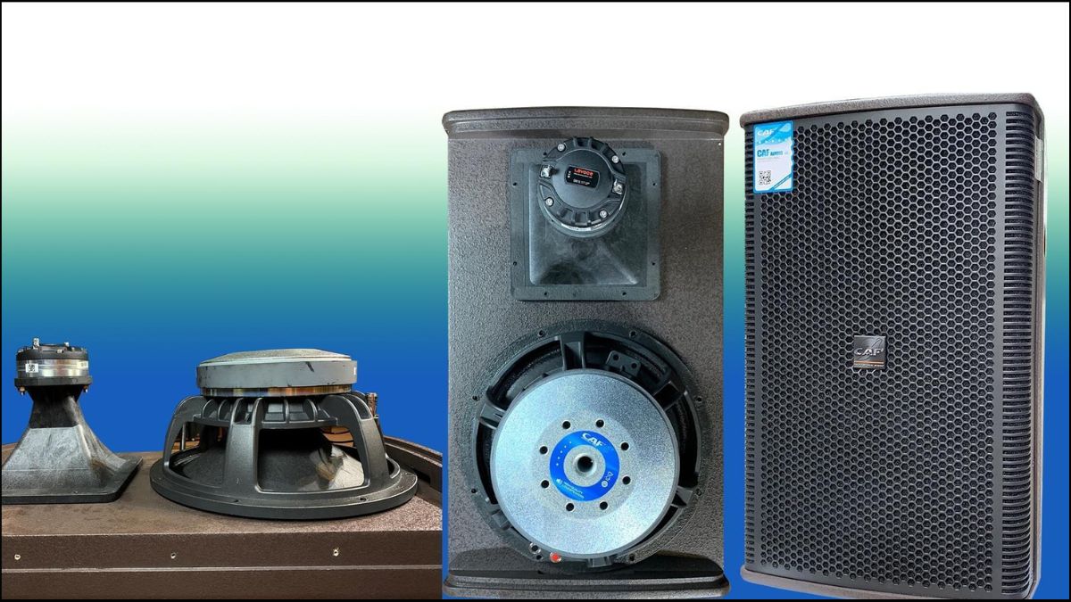 Cấu tạo chi tiết các linh kiện bên trong và củ loa subwoofer hãng CAF.