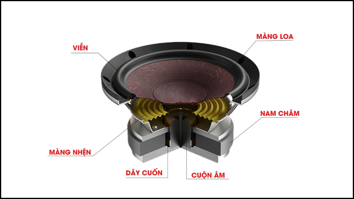 Sơ đồ chi tiết cấu tạo loa bass và các thành phần bên trong củ loa woofer là gì.