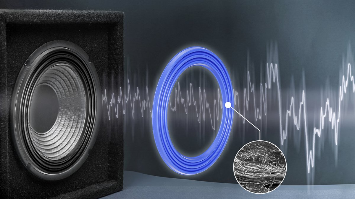 Tác động của màng loa hư hỏng đến chất âm và lý do cần sửa màng loa bị rách.