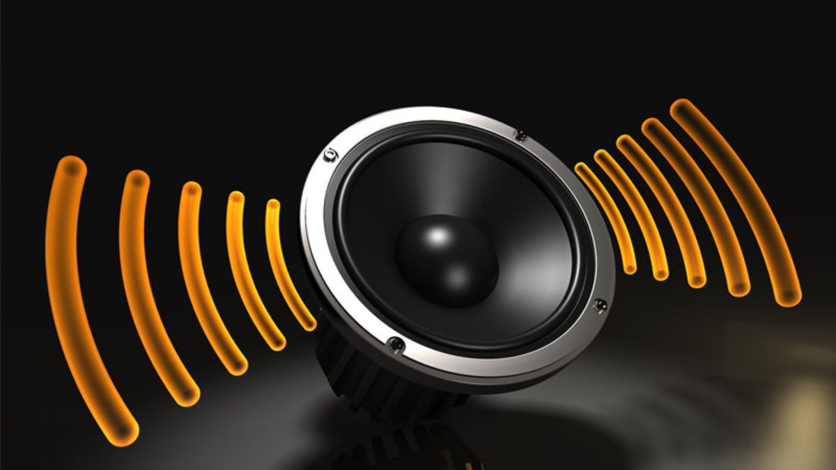 Nguyên nhân môi trường và côn trùng khiến bạn phải sửa màng loa bị rách thường xuyên.