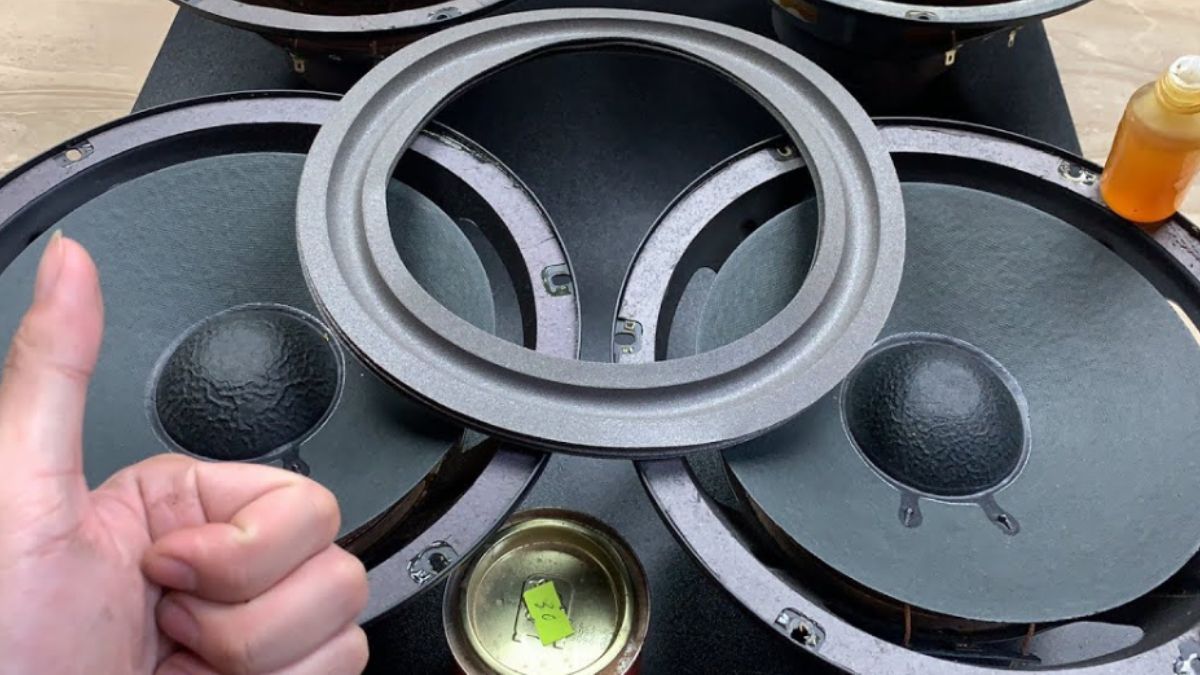 Bộ phận gân loa hỗ trợ dao động ổn định cho màng loa.