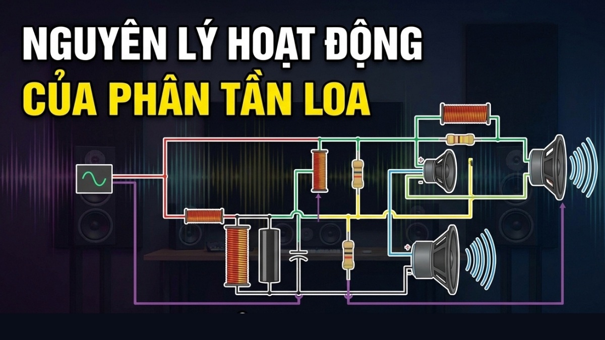 Sơ đồ kỹ thuật mô tả nguyên lý hoạt động của loa phân tần là gì chi tiết.