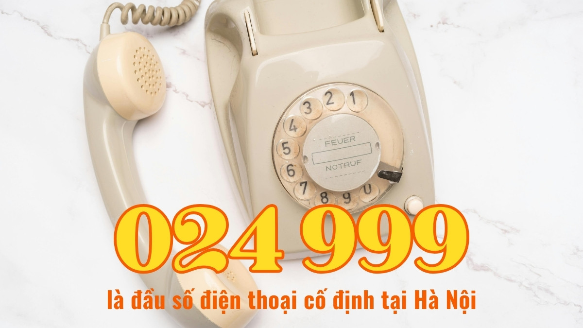 024 999 là mạng gì?