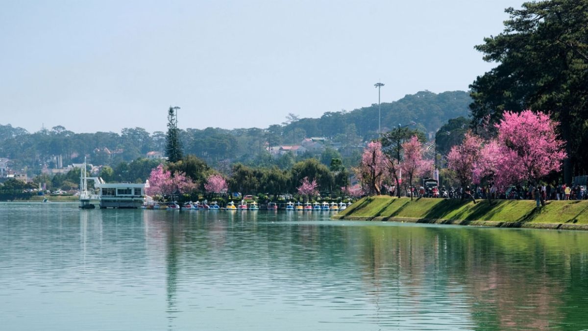 2/9 có nên đi Đà Lạt không? Nhược điểm