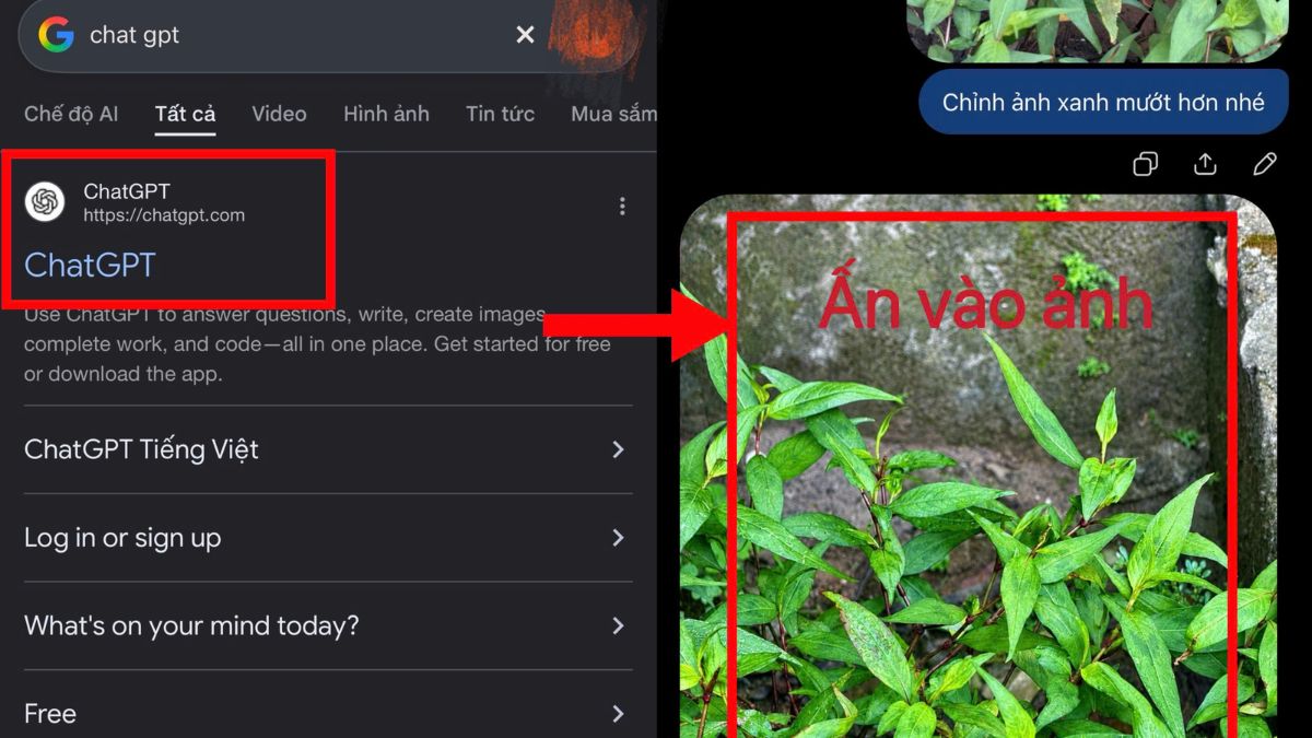 Cách tải ảnh từ ChatGPT về điện thoại trên bản web bước 1, 2