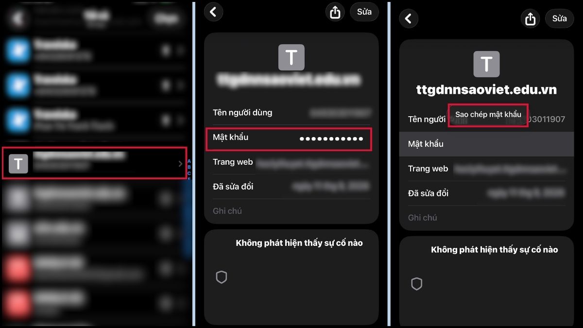 Cách xem mật khẩu đã lưu trên iPhone qua ứng dụng Mật khẩu bước 3