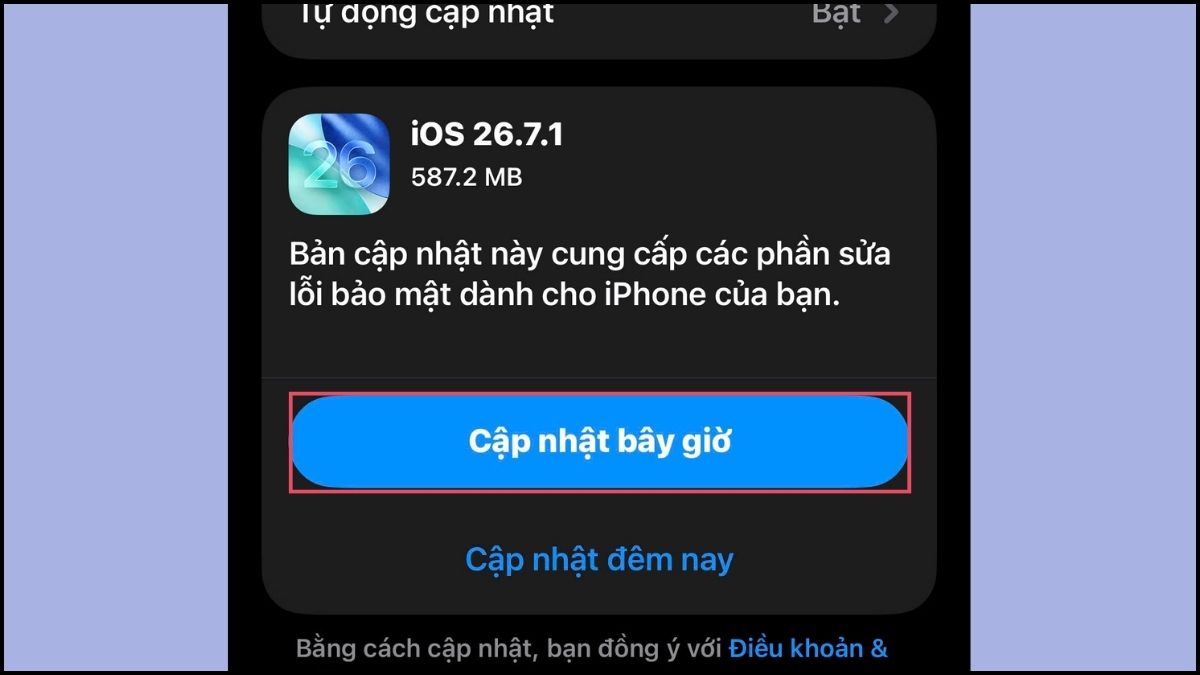 Khắc phục lỗi không bật được 5G trên iPhone - Cập nhật iOS bước 3