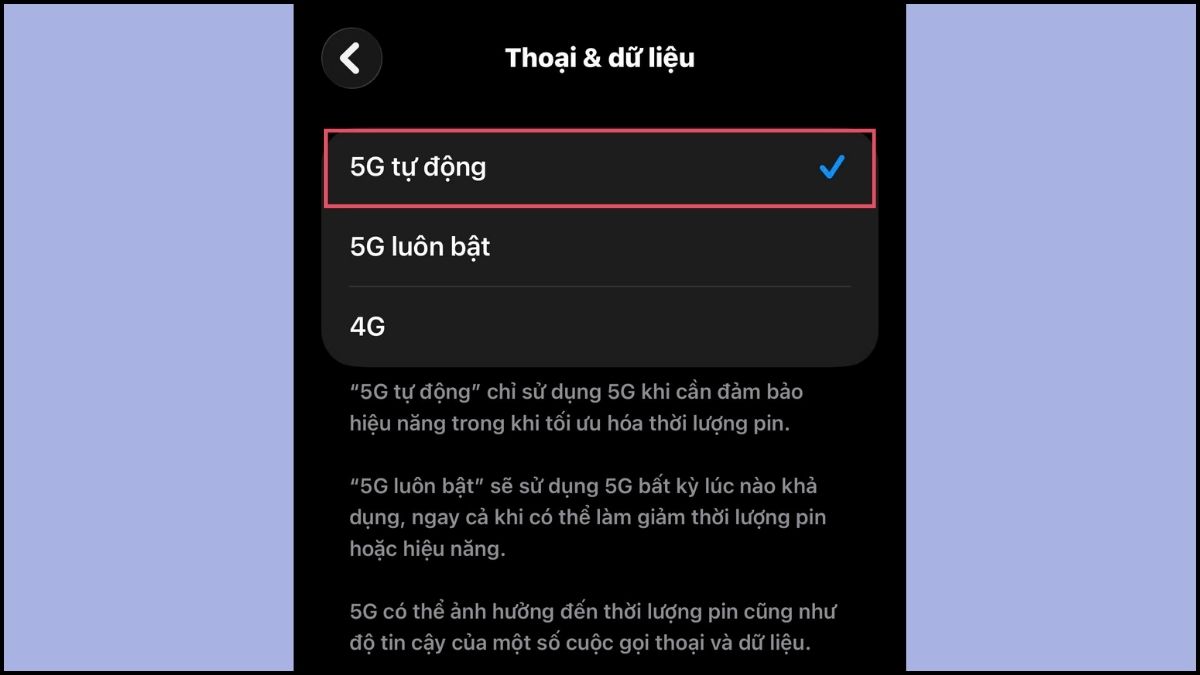 Khắc phục lỗi không bật được 5G trên iPhone - Kích hoạt băng tần 5G bước 4