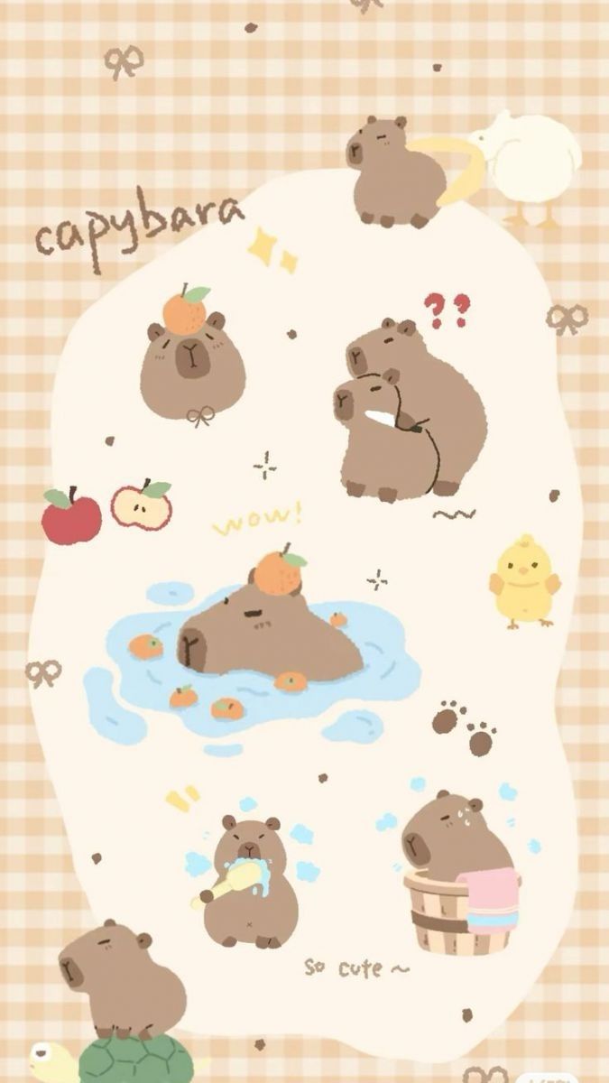Hình nền Capybara 1 ngày trải qua