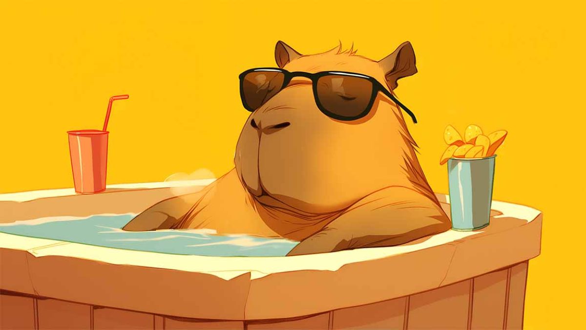 Hình nền Capybara cho máy tính chill nhẹ nhàng
