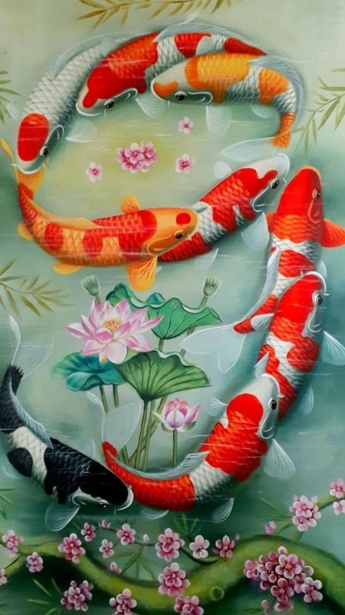 Hình nền cá chép hoa sen đẹp, ấn tượng