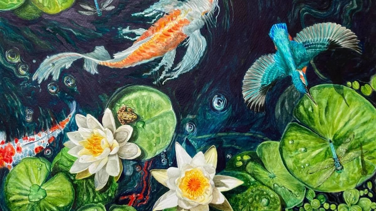 Hình nền cá chép hoa sen cùng chim chóc