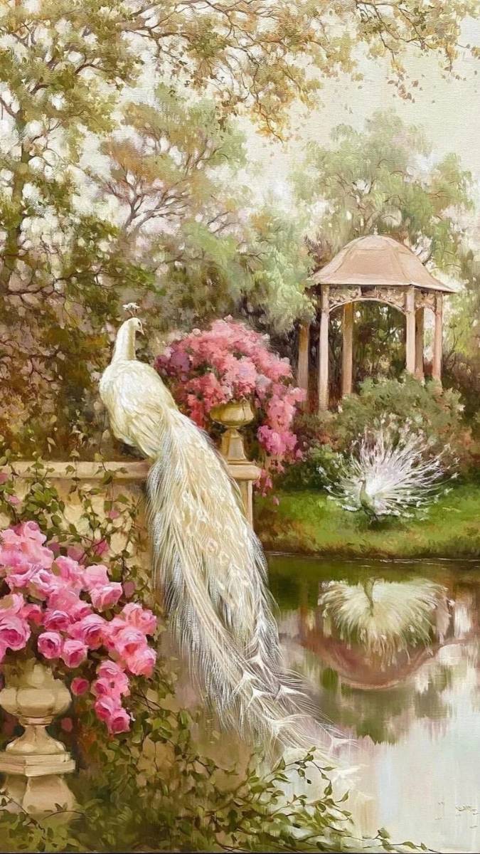 Hình nền đôi khổng tước trắng đẹp