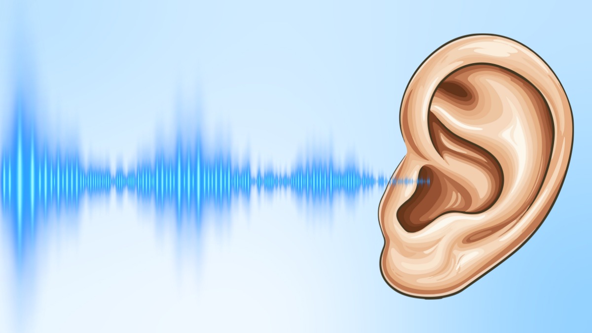 Cường độ âm thanh là gì?