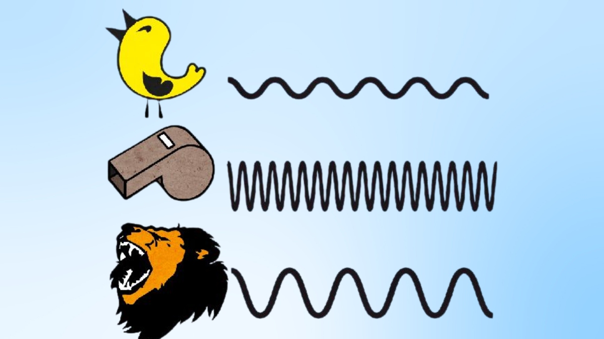 Âm sắc của âm thanh là gì?